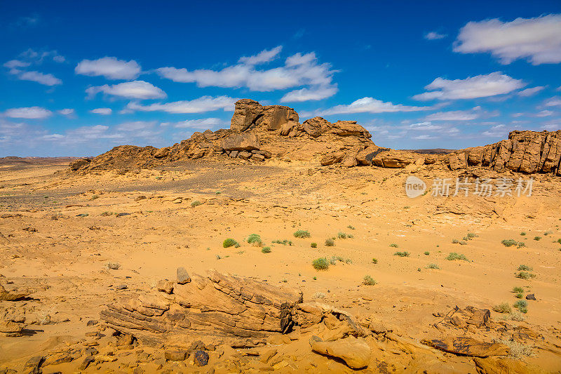 沙漠Al jabf Al Jouf沙特阿拉伯